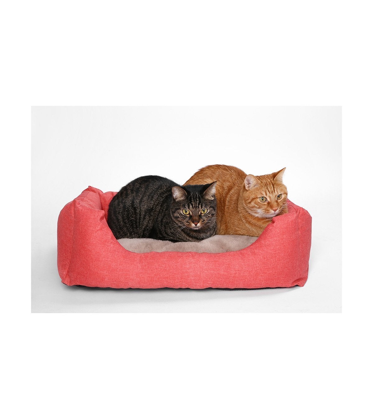 Pidan - Four Seasons Pet Bed