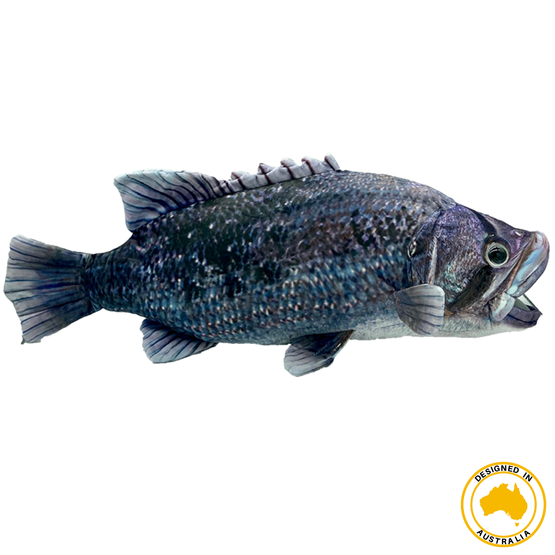 Huggable - Drake Dhufish