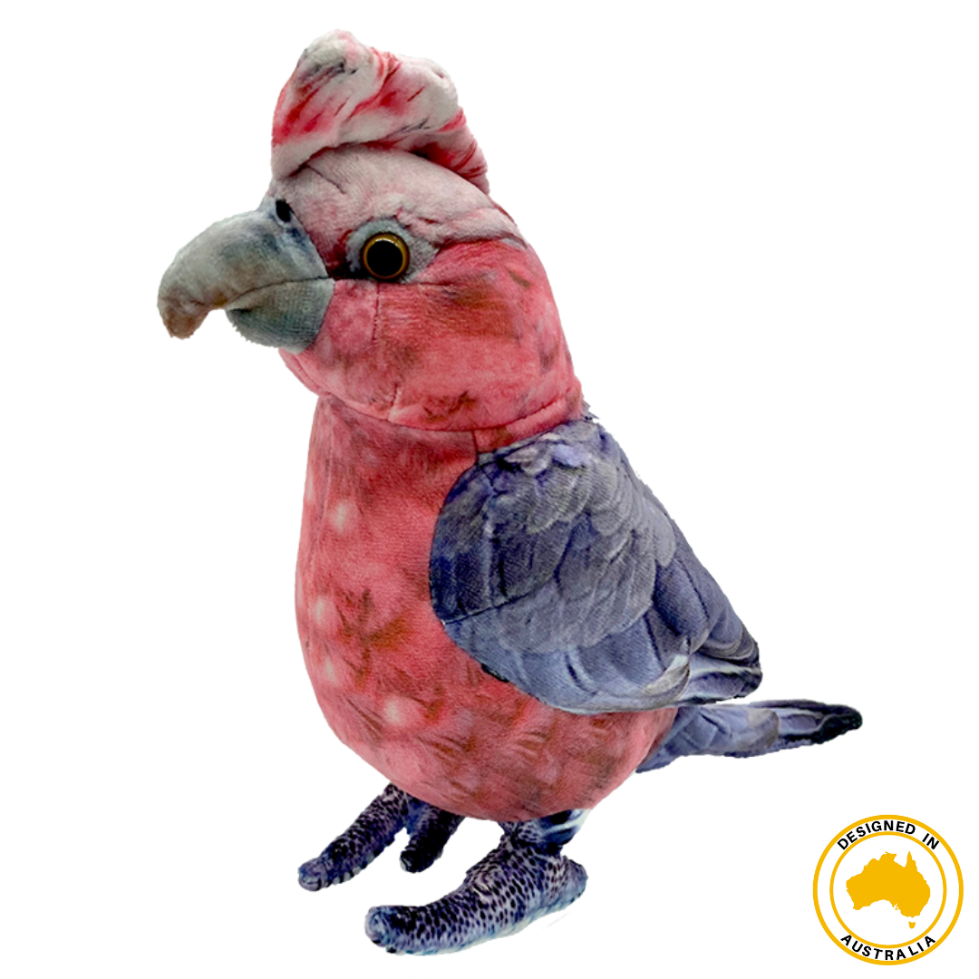 Huggable - Gabrielle Galah