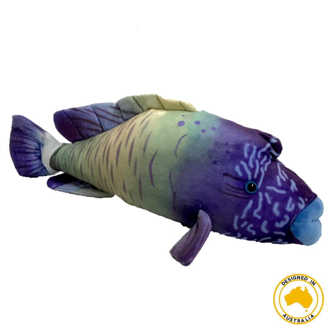 Huggable - Wrasse Fish
