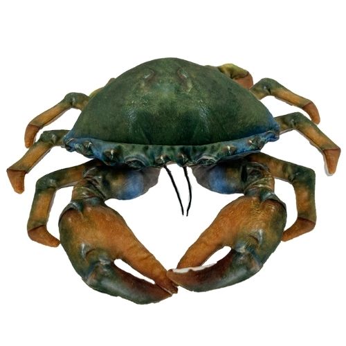 Huggable - Mason Mud Crab