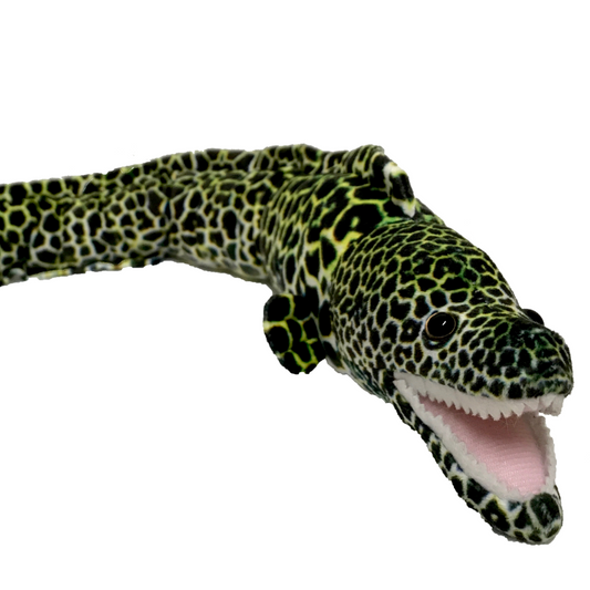 Huggable - Emilio Eel