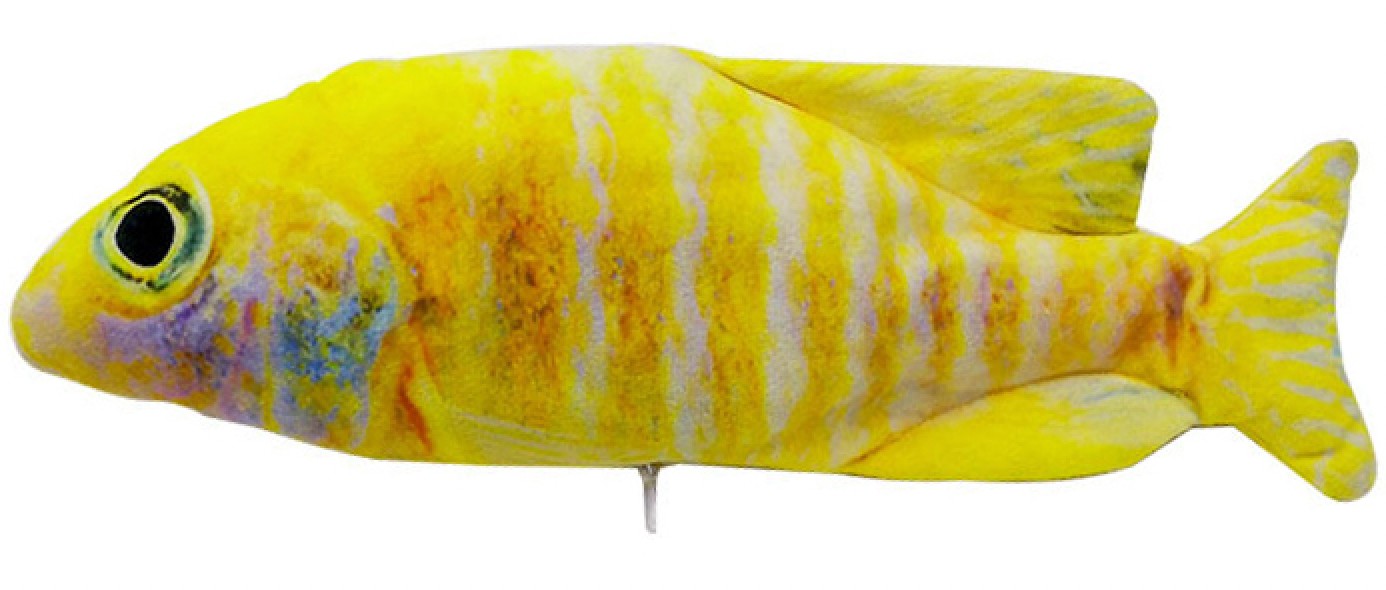 Floppy Fish Toy - Dog & Cat Toys GROOMY