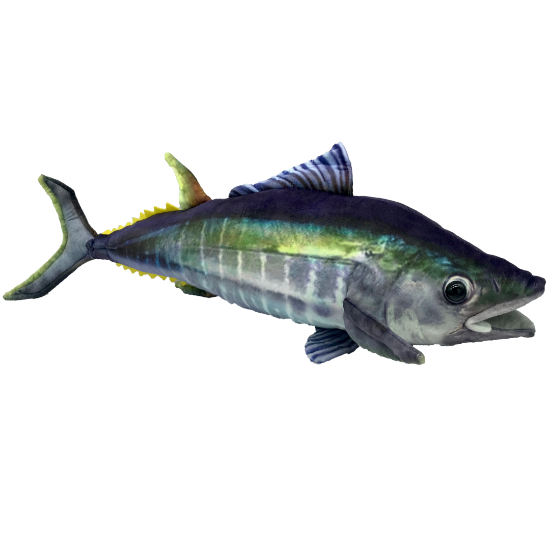 Huggable - Tommy Tuna