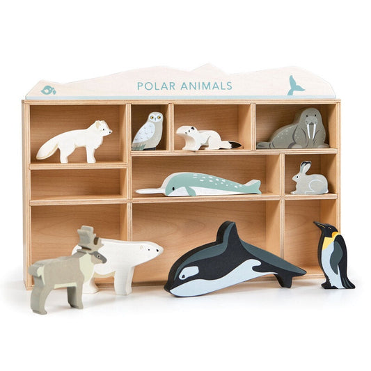 Polar Animals Display Wooden Shelf Set